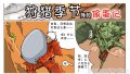����鿴
