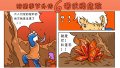 ����鿴
