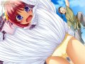 ����鿴