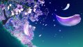 ����鿴