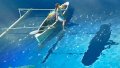 ����鿴