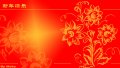 ����鿴