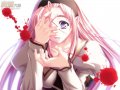 ����鿴
