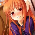 ����鿴