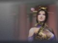 ����鿴