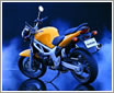 SUZUKI��ľĦ�г�