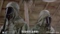 点击查看
