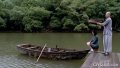 点击查看