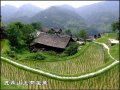 点击查看