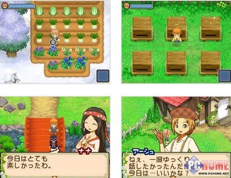 NDS《牧场物语 双子之村》将延期发售-画像