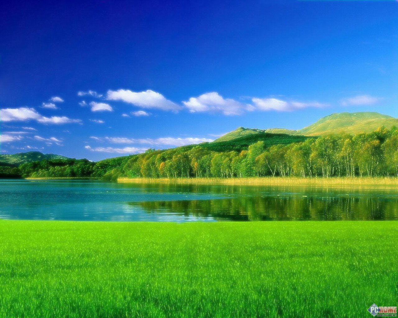 不一样的景色主题屏保_动物自然图5_电脑之家pchome.net